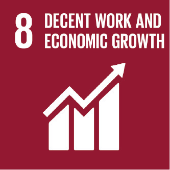 8 Decent work and economic growth